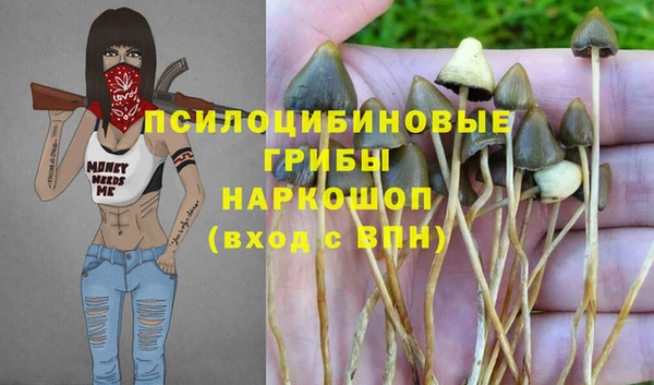 каннабис Белокуриха