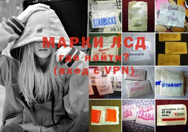 индика Володарск
