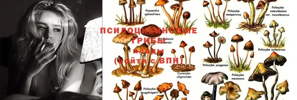 винт Беломорск