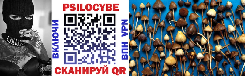 Псилоцибиновые грибы Psilocybine cubensis гидра онион Ачхой-Мартан